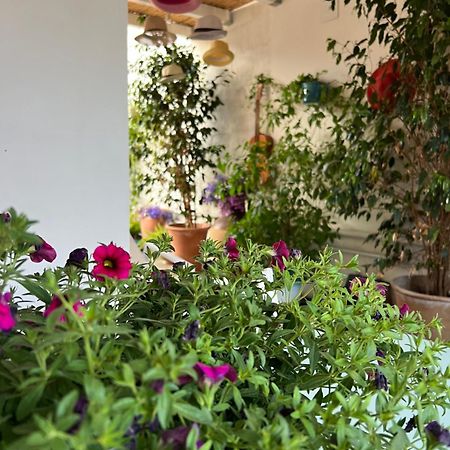 Suite Battisti 7 Lecce Dış mekan fotoğraf
