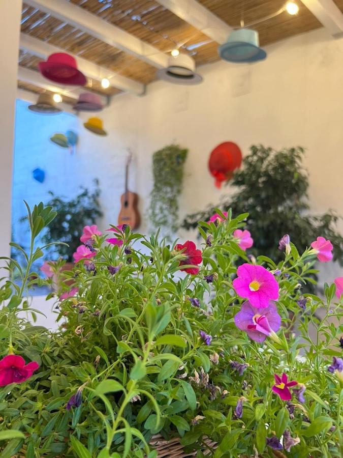 Suite Battisti 7 Lecce Dış mekan fotoğraf