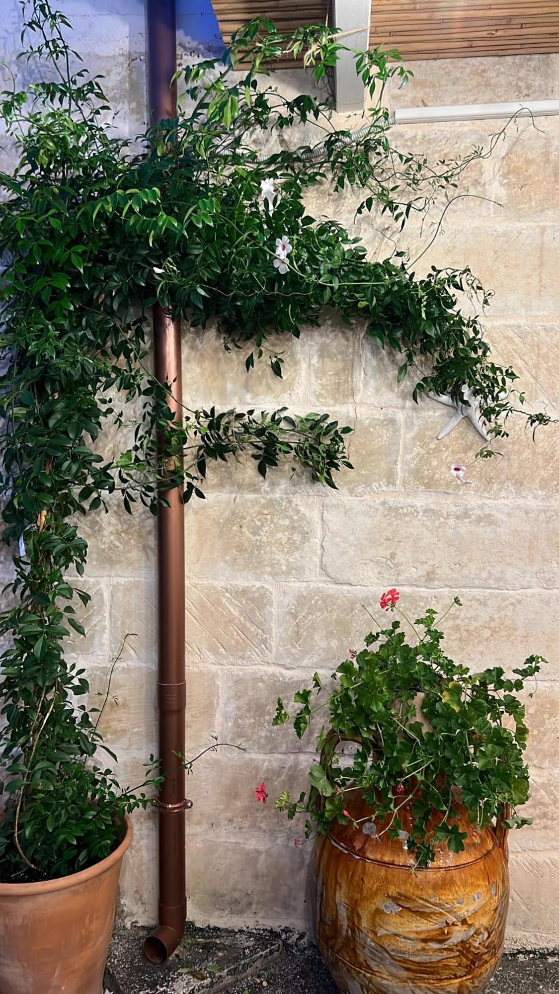 Suite Battisti 7 Lecce Dış mekan fotoğraf