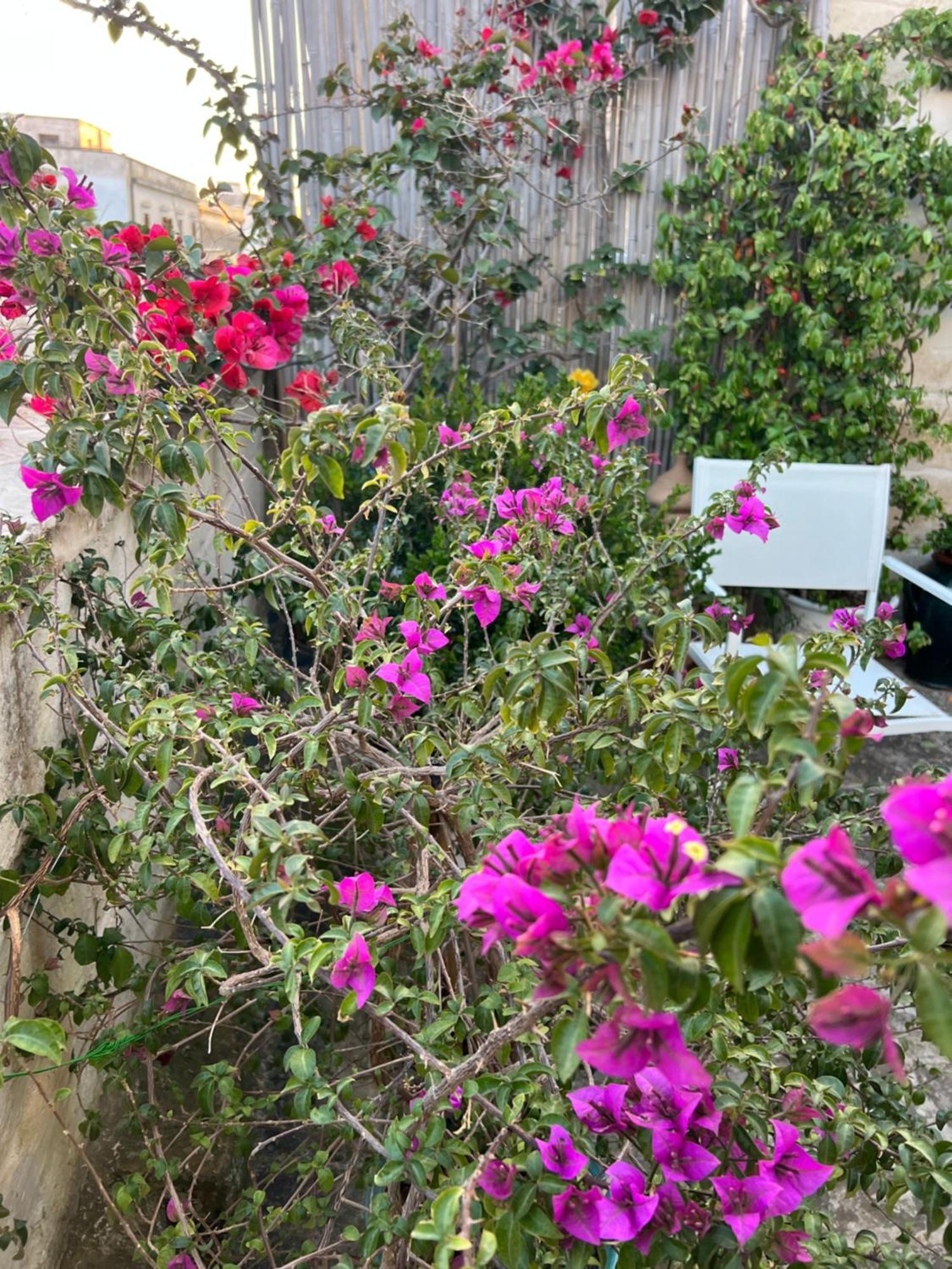 Suite Battisti 7 Lecce Dış mekan fotoğraf