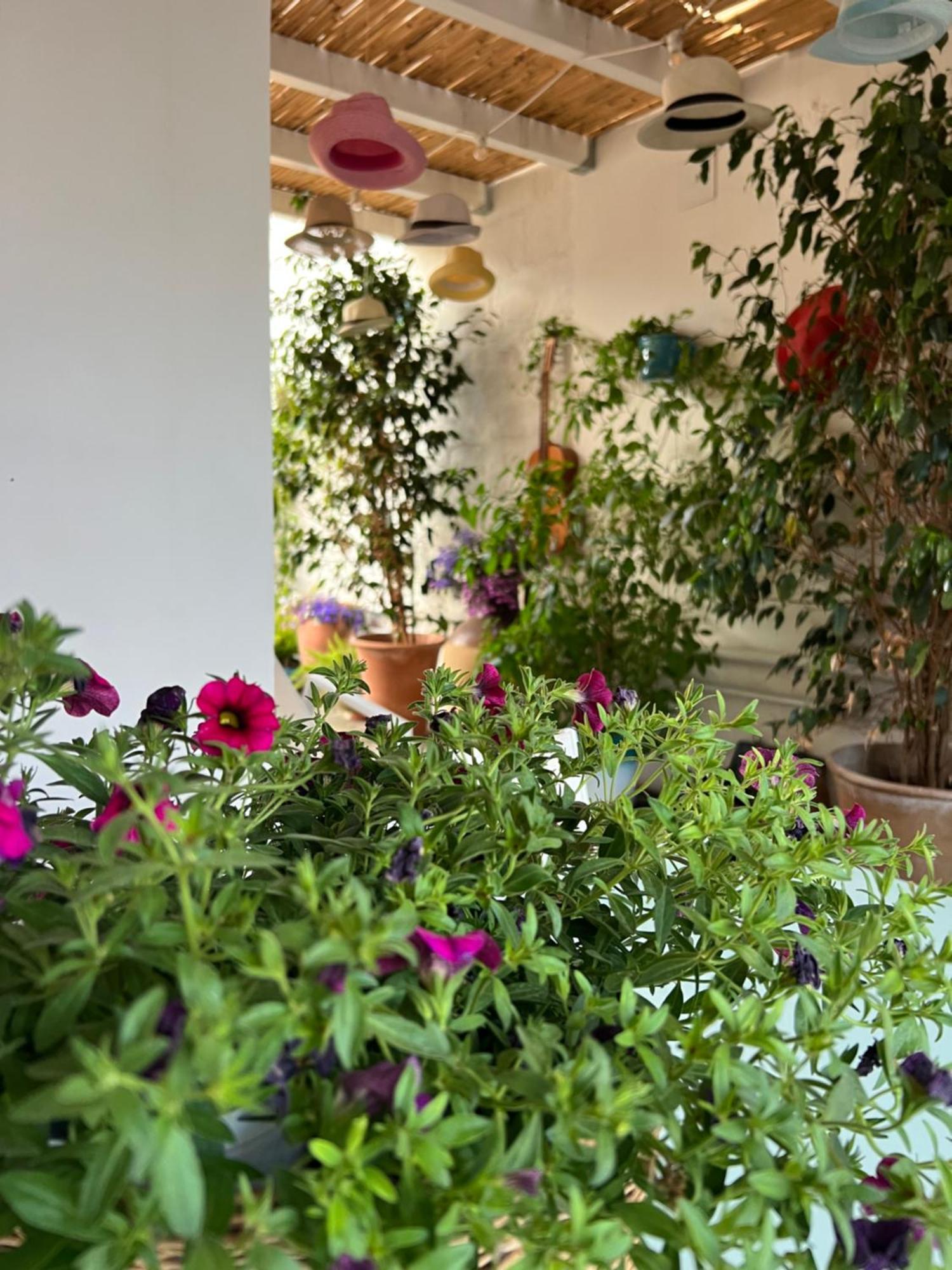 Suite Battisti 7 Lecce Dış mekan fotoğraf